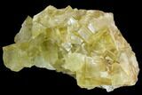 Lustrous Yellow Cubic Fluorite Crystal Cluster - Morocco #104607-1